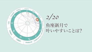 新月満月の瞑想｜2023年2月20日 魚座新月の引き寄せアドバイス [upl. by Rusel756]