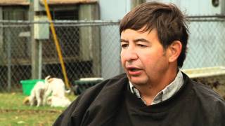 Gun Dog Broker Meet Mark Fulmer of Sarahsetter Kennels Part 2 [upl. by Ricoriki229]