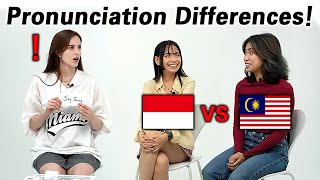 Malaysia vs Indonesia Languages  Do They Use Same Words Pronunciation Differences [upl. by Burnside]