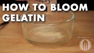 How to Bloom Gelatin  Tutorial Video [upl. by Anegroeg284]