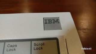 IBM Model M 1390131 Keyboard  First Look [upl. by Yeniar]