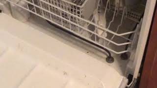 Hotpoint 3D Zone Wash Dishwashers [upl. by Ibbob]