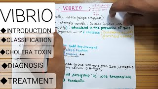 Video no14 Vibrio cholera  introduction classifications cholera toxin diagnosis treament [upl. by Asin972]