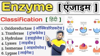 Enzyme in Hindi  Enzymes Biochemistry  Enzyme Classification  Enzymes Inhibition  Enzymes Notes [upl. by Ahsertal]