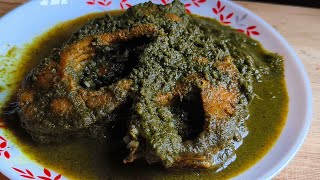 Dhania Fish CurryMint Coriander First Curry Recipe [upl. by Mayda588]