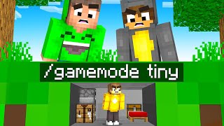 Using gamemode tiny To WIN In Minecraft [upl. by Ahsitel]