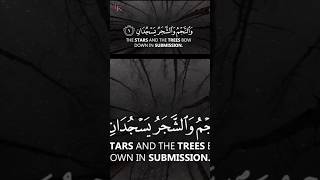 🌹 Most Beautiful Recitation of Surah Rehman 🎶 shorts beautifulrecitation islamicshortvideo [upl. by Elletnahs]