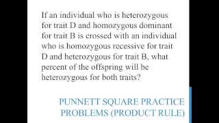 Punnett square practice problems product rule [upl. by Sirotek]