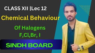 Behavior of Halogens Class 12 lec12 [upl. by Ellennoj]