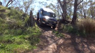 Bridle Trail  Root Hog Crossing  NSW 4x4 Adventure [upl. by Lyudmila]