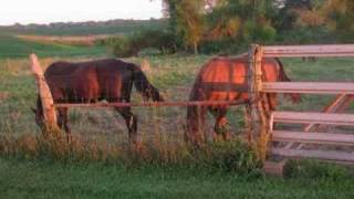 Wild Horses by Mazzy Star [upl. by Adnilema]