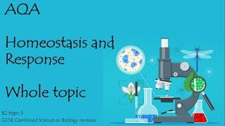 The whole of AQA HOMEOSTASIS and RESPONSE 91 GCSE biology or combined science revision for paper 2 [upl. by Yemrej114]