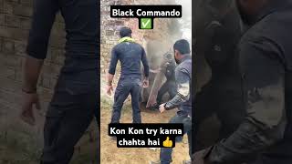 blackcommando comando armystatus army armylover itbp bsf cisf crpf trending trend art [upl. by Noremak]