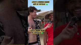 Luisito el exitadillo mamá nepe de tortuga 🐢 ☠️ luisitocomunica horror animal tortuga humor [upl. by Ttocs]