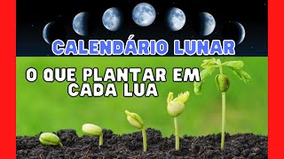 O QUE PLANTAR EM CADA LUA  CALENDÁRIO LUNAR [upl. by Alvira]