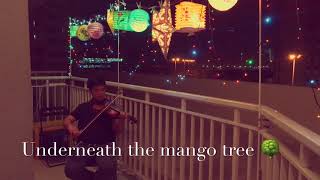 Underneath the mango tree violin cover 🌳 🎻 🎻 [upl. by Eneleoj]