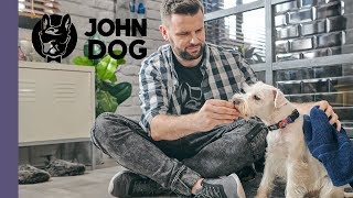 Jak przyzwyczaić psa do kąpieli – TRENING PSA – John Dog [upl. by Bevvy]