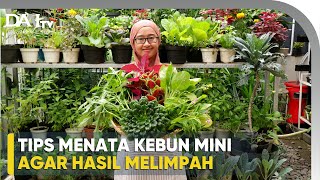 Tips Menata Kebun Mini dari MGB Garden [upl. by Hsizan]