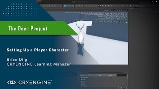 Setting up a Player Character in CRYENGINE FBX [upl. by Auqinaj185]