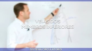 Veias dos Membros inferiores [upl. by Enilesoj]