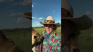 agriculture aussiecowgirl australianoutback [upl. by Barty825]