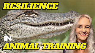 An Exploration Of Resilience In Animal Training [upl. by Hadsall]