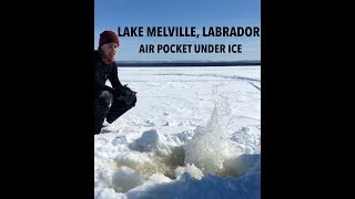 Air Pocket under Ice  Lake Melville Labrador 031417 [upl. by Thurstan]