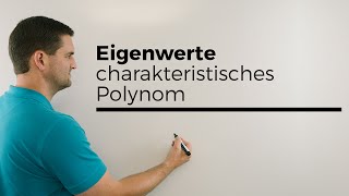 Eigenwerte Charakteristisches Polynom Matrizen Abbildungen  Mathe by Daniel Jung [upl. by Kinom17]