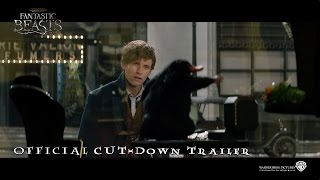 Fantastic Beasts And Where To Find Them Official CutDown Trailer in HD 1080p [upl. by Yekram]