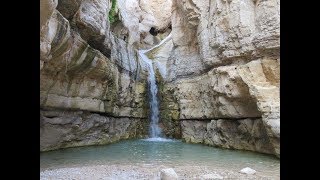 Ein Gedi עֵין גֶּדִיعين جدي‎ an oasis in Israel 1422014 [upl. by Bekki]