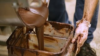 How Chocolate is Made [upl. by Yesteb]