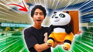 ¡CONSEGUÍ LA PALOMERA DE KUNG FU PANDA 4  IVANSPIDEY [upl. by Revlys]