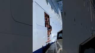 Pilot Jumps Off The Worlds Biggest Cruise Ship 😲 [upl. by Akoyin]