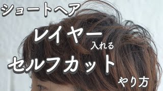 セルフカットでレイヤーを入れる！ショートヘアの表面の髪を軽くしたり短くしたりするやり方について解説 [upl. by Cathlene734]