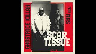 Ghostface Killah amp Nas  Scar Tissue AUDIO [upl. by Enneiluj]