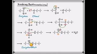 Veresterung Reaktionsmechanismus [upl. by Yager]