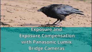 Exposure and Exposure Compensation in Panasonic Bridge Cameras [upl. by Enyrehtak]