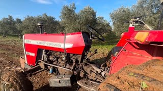 POV 1987 MASSEY FERGUSON 285ÖNTAR TURBO ATOMİZERZEYTİN İLAÇLAMA OLİVE SPRAYİNG [upl. by Ehudd736]