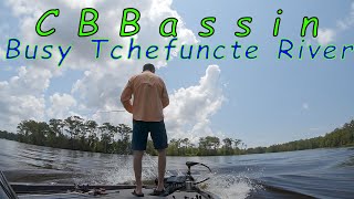 Deep Cranking on a BUSY TCHEFUNCTE RIVER [upl. by Aneleairam661]