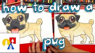 How To Draw A Pug [upl. by Dynah]