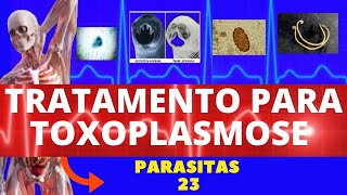 TRATAMENTO PARA TOXOPLASMOSE SAIBA COMO TRATAR  PARASITOLOGIA  INFECTOLOGIA [upl. by Ayanad]