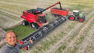 Høsten 2024  Case IH 9260 AxialFlow amp 50 fods MacDon skærebord høster raps  Dansk Høst 2024 [upl. by Wohlen]