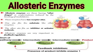 Allosteric Enzymes And Feedback Mechanism  Lecture No  28 [upl. by Sussi]