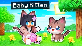 Playing as a BABY KITTEN In Minecraft [upl. by Negaem]