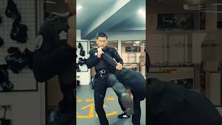 Martial arts extreme stunts training hapkido Kung Fu wushu karate aikido master amazing skills [upl. by Enert463]