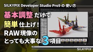 基本調整だけで簡単仕上げ！ ～RAW現像のとっても大事な基本調整3項目～【SILKYPIX Developer Studio Pro9の使い方】 [upl. by Ahsel166]