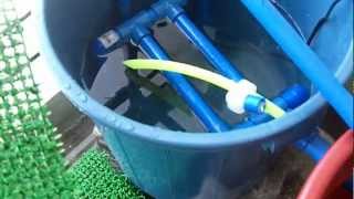 Homemade Aquaponics Biofilter [upl. by Ahsyekal]