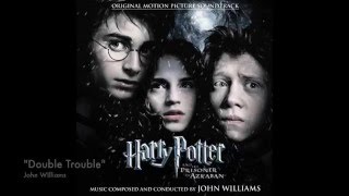 quotThe Beautiful Music of the Harry Potter Seriesquot [upl. by Cathyleen]