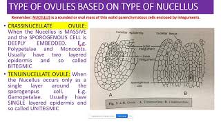 Lecture 4 30072020 Types of Ovule Based on Nucellus by Dr Prashant Pant Govt College Daman [upl. by Renado]