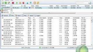 How To Find port for torrents [upl. by Musetta]